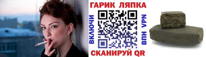 ГАШ Изолятор Тара