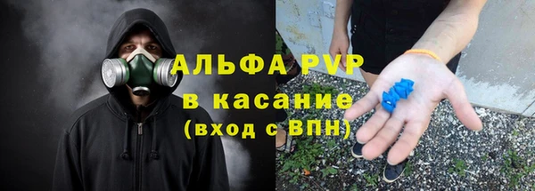 индика Аркадак