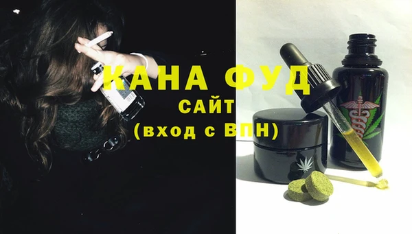 индика Аркадак