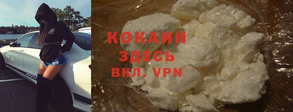 индика Аркадак