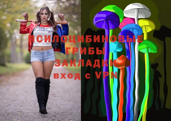 первитин Арсеньев