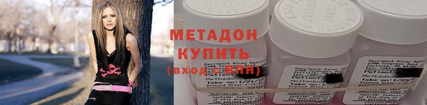 индика Аркадак