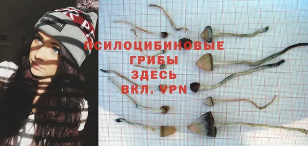 первитин Арсеньев