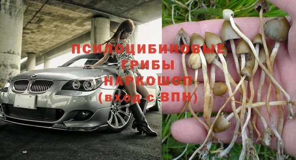 mdpv Армянск