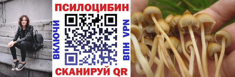 Псилоцибиновые грибы мухоморы  Тара 