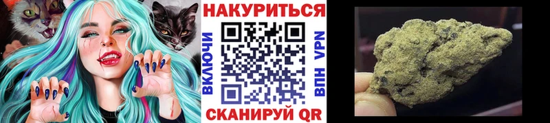 Конопля сатива  где купить наркотик  Тара 